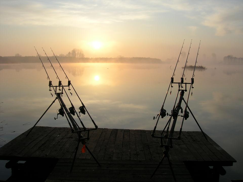 Haromfa, inceput de poveste